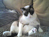 The real Dr. SCSI The real Dr. SCSI